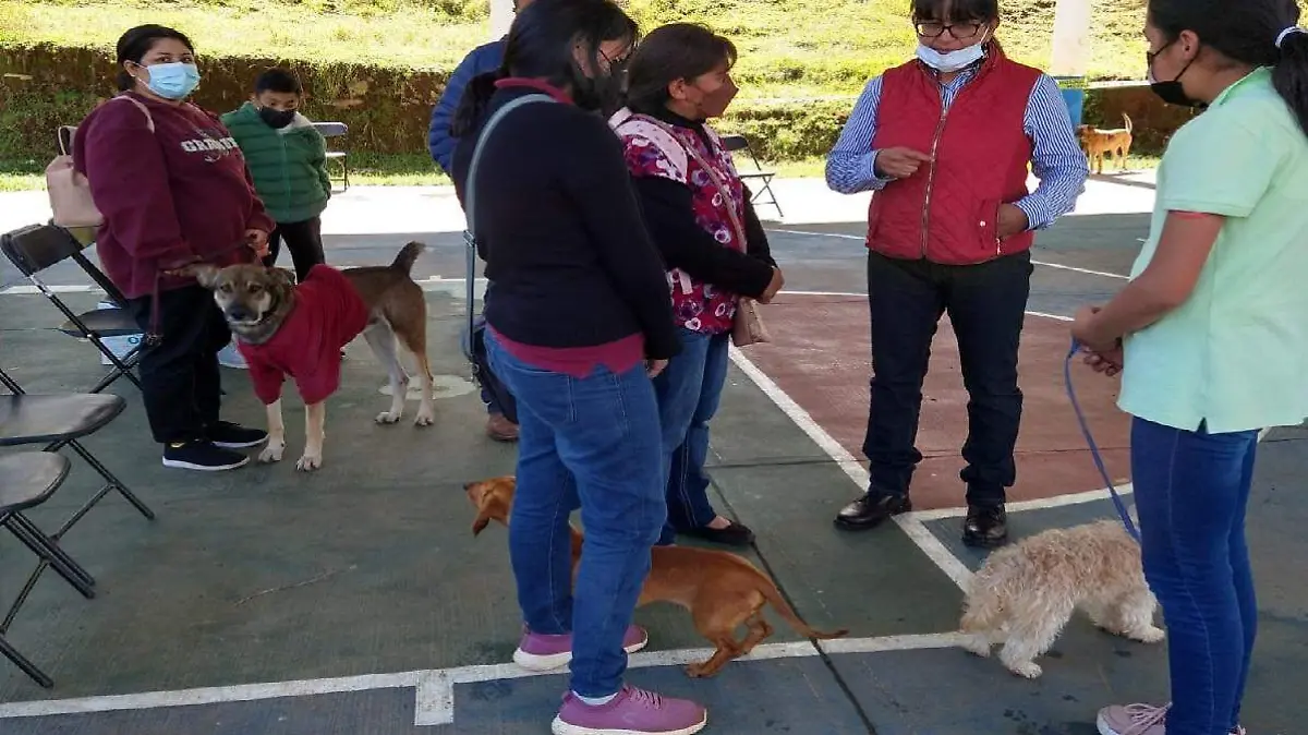 ESTERILIZACIÓN (5)